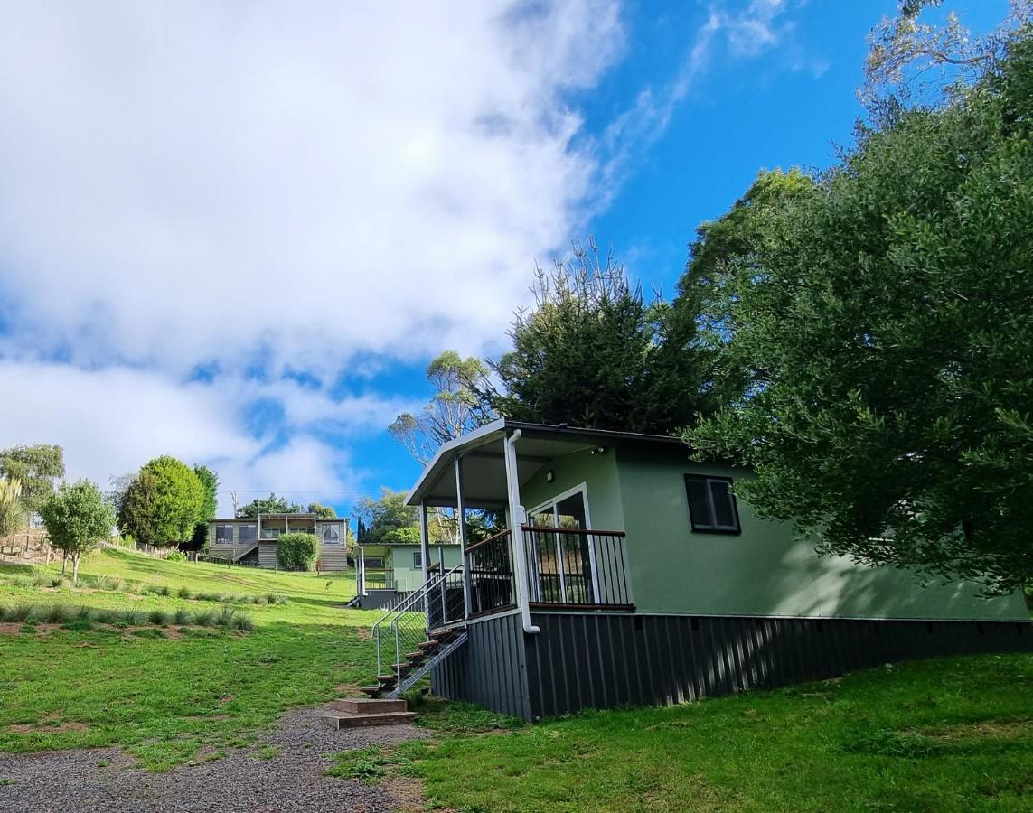 Cozy Otways Accommodation Beech Forest Eksteriør billede