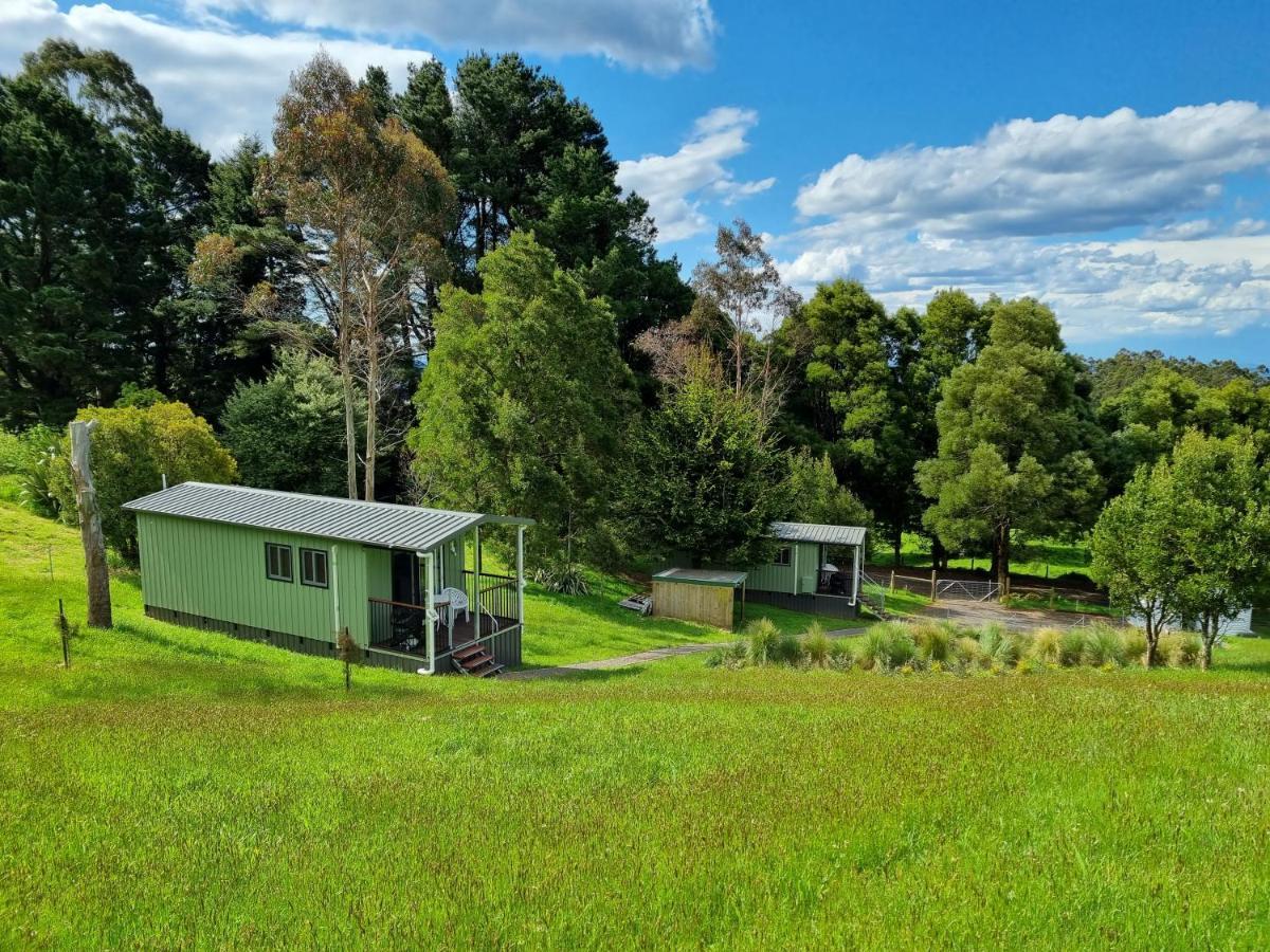 Cozy Otways Accommodation Beech Forest Eksteriør billede